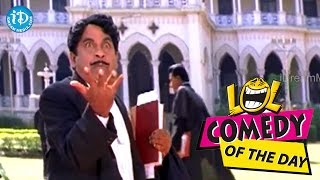 Comedy Of The Day 263 || Brahmanandam And Kota Srinivasa Rao Comedy || Tappuchesi Pappu Koodu Movie
