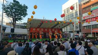 【丸若連】舞台踊り 南越谷阿波踊り 2024 #丸若連 #阿波踊り #日本三大阿波踊り #南越谷 #dance #awaodori GX010843