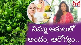 నిమ్మ ఆకులతో అందం, ఆరోగ్యం.. || SMS HEALTH TV ||