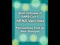 How mRNA Vaccines Work (Covid-19 Pfizer and Moderna)