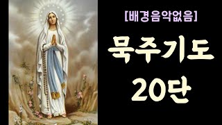 묵주기도 20단(배경음악없음) ㅣ환희의 신비ㅣ빛의 신비ㅣ고통의 신비ㅣ영광의 신비 ㅣ마음의 평화를 얻는 기도ㅣ가족의 기도ㅣ엄마의 기도ㅣ품격있는 삶 #묵주기도20단 #세레나의치유의숲