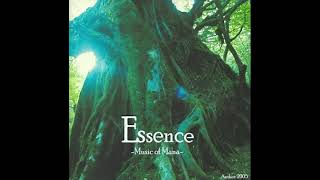 02 Endless Carnage - Essence -Music of Mana- (2005)