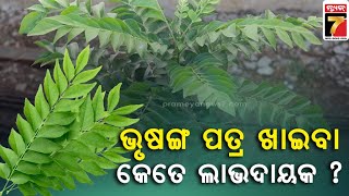 ଭୃଷଙ୍ଗ ପତ୍ର ଖାଇବା ସ୍ୱାସ୍ଥ୍ୟ ପ୍ରତି କେତେ ଲାଭଦାୟକ ? | 10 Health Benefits Of Curry Leaves | PrameyaNews7