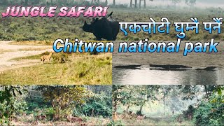 Chitwan National Park: A Haven for Wildlife Enthusiasts, in Nepal 🇳🇵 Jeep Tour !