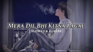 Mera Dil Bhi Kitna Pagal Hai [ Slowed & Reverb ] Kumar Sanu | Alka Yagnik | 90s Old Songs Lofi