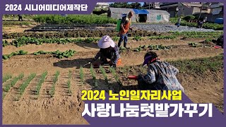 [시니어미디어제작단] 2024 노인일자리사업-사랑나눔텃밭가꾸기