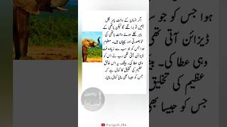 Urdu Islamic Quotes||Urdu Quotes||Shorts Video||Islamic Quotes||Urdu Poetry||Viral