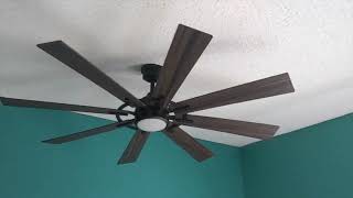 Home Decorators Collection Makena 60 Inch Ceiling Fan Review!