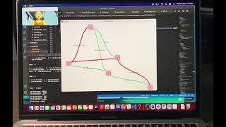 Google Hash Code Problem - Traffic Signalling Optimisation Java Project