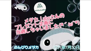 メダカ.Laboさんのプレゼント企画に当選！(^^)開封動画です🎵【めだか】