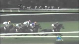 2011年第46回デイリー杯2歳ステークス(G2)　クラレント