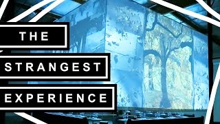 THE STRANGEST EXPERIENCE