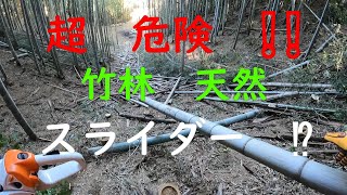 竹林奮闘記　＃30　放置竹林　　竹林再生計画ー8　竹林　枯竹　雑木　間伐　整備