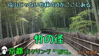 京都ポタリング　通りの端から端まで走る！　#43 竹の径　#京都 #ポタリング #自転車