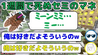 【MSSP切り抜き】eoheoh迫真のセミのマネ！\u0026ツーペアの感想を言うFBとKIKKUN！　日刊マイクラ黄昏の森編