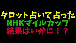 【NHKマイルカップ】タロット占いの結果はいかに！！！