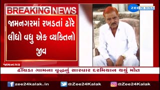 65-year-old man died after being hit by a stray cattle in Jamnagar