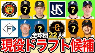 【現役ドラフト予想22人】2024年の現役ドラフト候補を解説