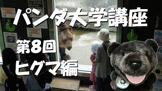 パンダ大学講座　第8回　ヒグマ編