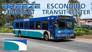 NCTD Breeze Buses at Escondido Transit Center