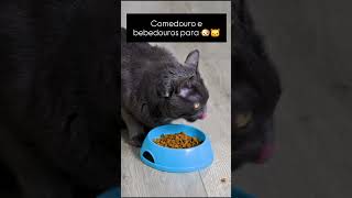 🐶😋🐈 E AÍ É O POTINHO DE COMIDA DO SEU PET? VOCÊS KAVAM TODOS OS DIAS?  #gatos #cães