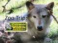 Cotswold Wildlife Park Trip August 2016!