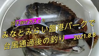 横浜みなとみらい臨港パークで台風通過後の釣り