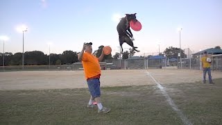 Frisbee Dogs are Awesome