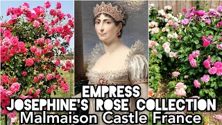 ROSE COLLECTION EMPRESS JOSEPHINE of FRANCE MALMAISON CASTLE of NAPOLEON BONAPARTE