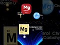 미국정품 영양제 고함량 마그네슘의 효능 magnesium