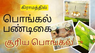 சூரிய பொங்கல் பண்டிகை -நமது கிராமத்தில் இருந்து/Pongal festival from Village