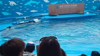 仙台うみの杜水族館 SENDAI UMINO-MORI AQUARIUM