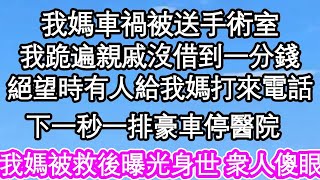 我媽車禍被送手術室，我跪遍所有親戚沒借到一分錢，絕望時有人給我媽打來電話，下一秒一排豪車停醫院，我媽被救後曝光身世 所有人傻眼  #為人處世#生活經驗#情感故事#養老#退休#淺談人生