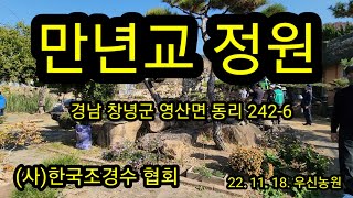 만년교정원 (사)한국조경수협회