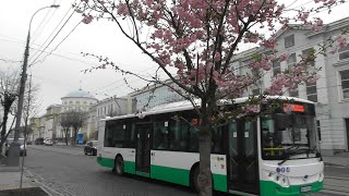 FHD. Spring. Sakura \u0026 the electric bus Skywell in Soborna Street. Vinnytsia city. Ukraine.