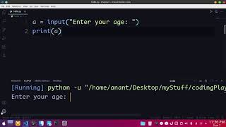 Can't take input from code runner | vs code
