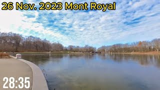 Montreal hiking: Mont Royal, 45 Minutes Workout on 26 Nov. 2023 (Treadmill Virtual Scenery)