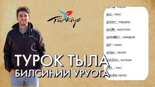 ТУРОК ТЫЛЫН ҮӨРЭТЭБИТ | БИЛИҺИННЭРИИ ДЬАРЫГА (УРУОГА)