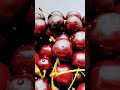 sweden fruit cherry