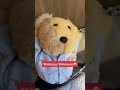 teddy bear playing call of duty warzone stayathomeorders lockdown