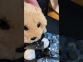 teddy bear playing call of duty warzone stayathomeorders lockdown