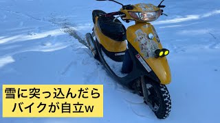 ライブディオZX 雪で家から林道極入り口まで4時間かかってしまってリベンジなるか？