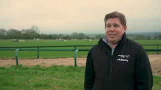 Dan Skelton on his Berkshire Winter Million Runners | Langer Dan | Protektorat