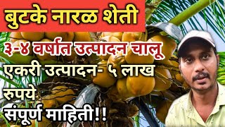 बुटके नारळ शेती (dwarf coconut variety) लागवड, फायदे आणि संपूर्ण माहिती!एकरी 5 लाखापेक्षा जास्त नफा