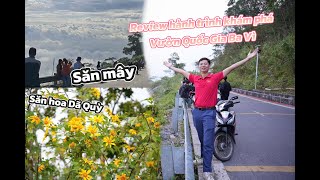 Review hành trình khám phá vườn quốc gia ba vì Săn mây hoa dã quỳ #sanmay #hoadaquy #vuonquocgiabavi