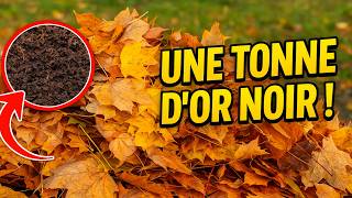 Mettez simplement tout ceci en tas cet automne, et au printemps, vous obtiendrez une tonne d«or noi