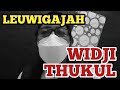 LEUWIGAJAH | Widji Thukul