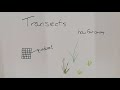 Transects basics