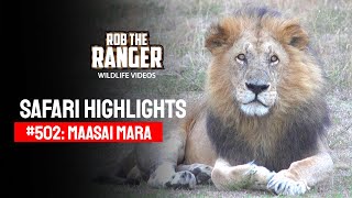 Safari Highlights #502: 02nd October 2018 | Maasai Mara/Zebra Plains | Latest #Wildlife Sightings