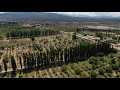 alto carrizal famatina la rioja argentina